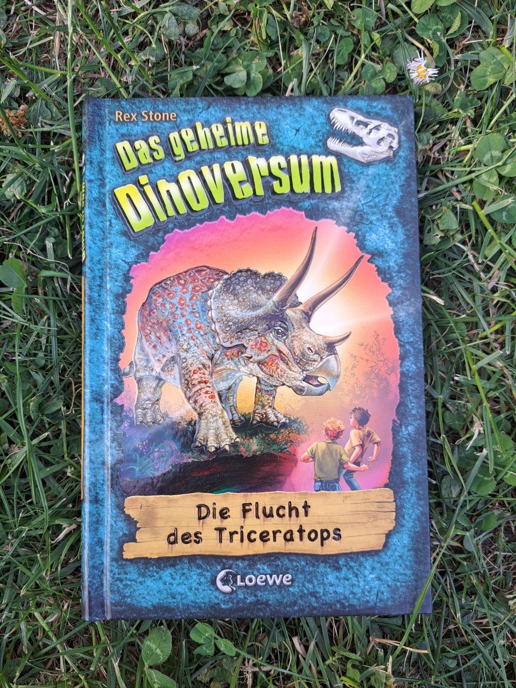 Libri: das geheime Dinoversum – Usato da Dachsen venduto da Mickymausi