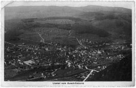BL 91 Liestal vom Aussichtsturm