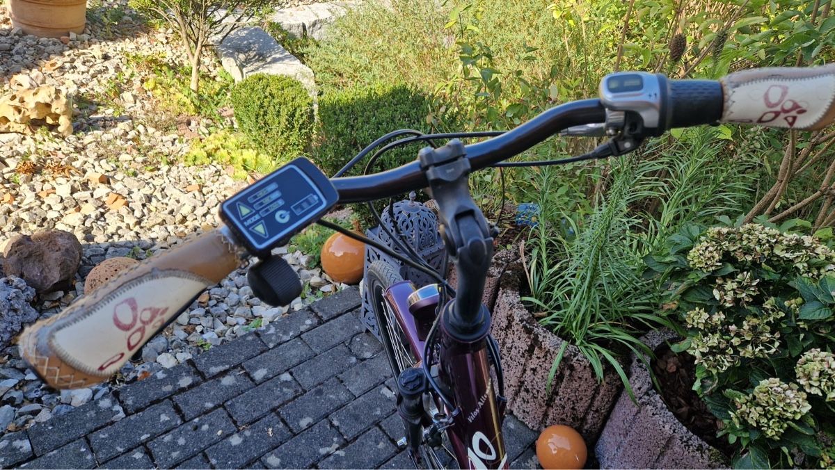 Kalkhoff Velos: Kalkhoff E-Bike gebraucht – Gebraucht aus Solothurn von mmv-19 6