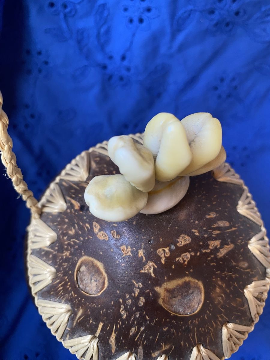 Borse da donna: Sac ethnique noix de coco coquillage raphia neuf – Nuovo (secondo la descrizione) da Geneve venduto da Monthoux13 2