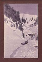 Sport d'hiver - LUGE