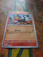POKEMON  Litleo     H  TEF EN    032/162    HP70    2024