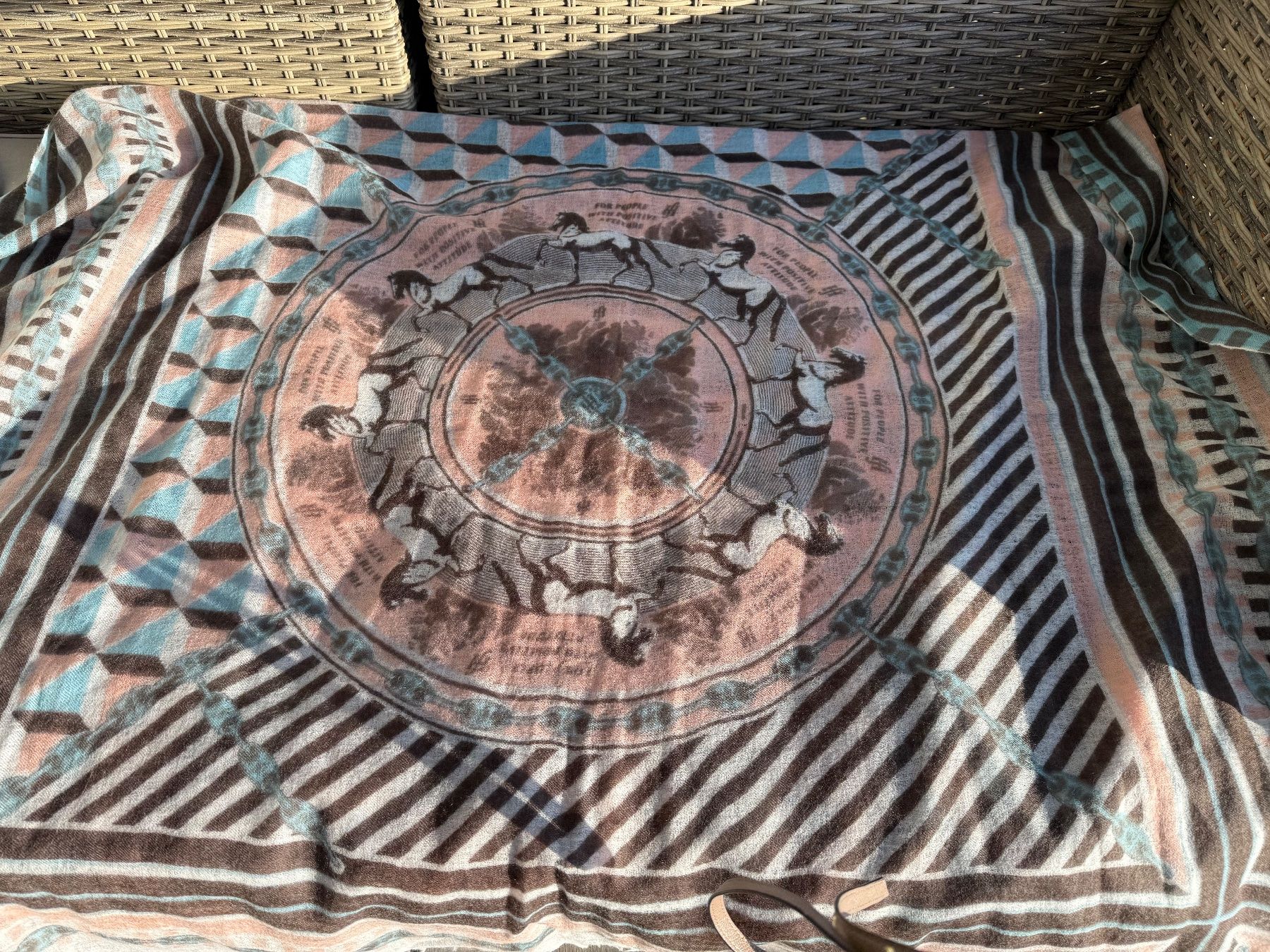 Foulards, Tücher & Schals: Kaschmirschal Friendly Hunting – Neu (gemäss Beschreibung) aus Herrliberg von Schubi64