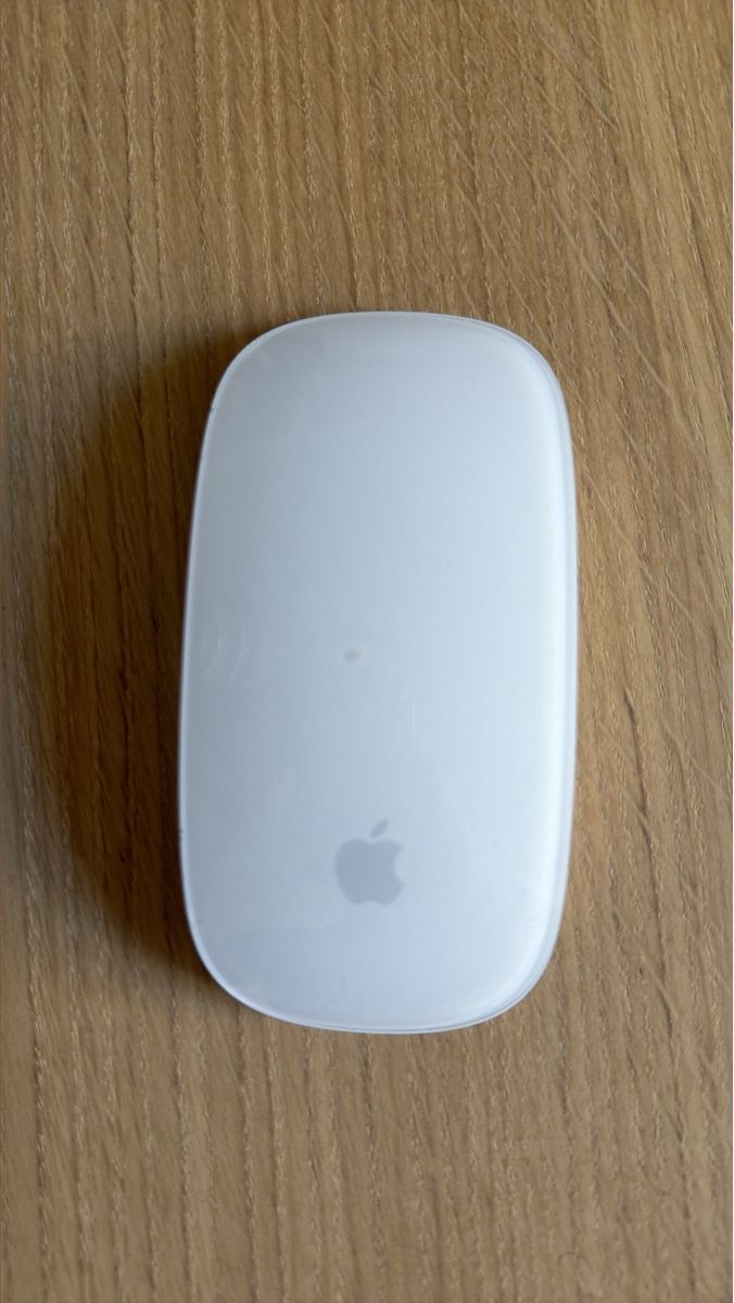 Apple Maus: Apple Magic Mouse Lightning – Gebraucht aus Zürich von SushiCat56
