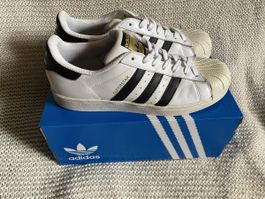 Adidas Superstar blanches 42.5
