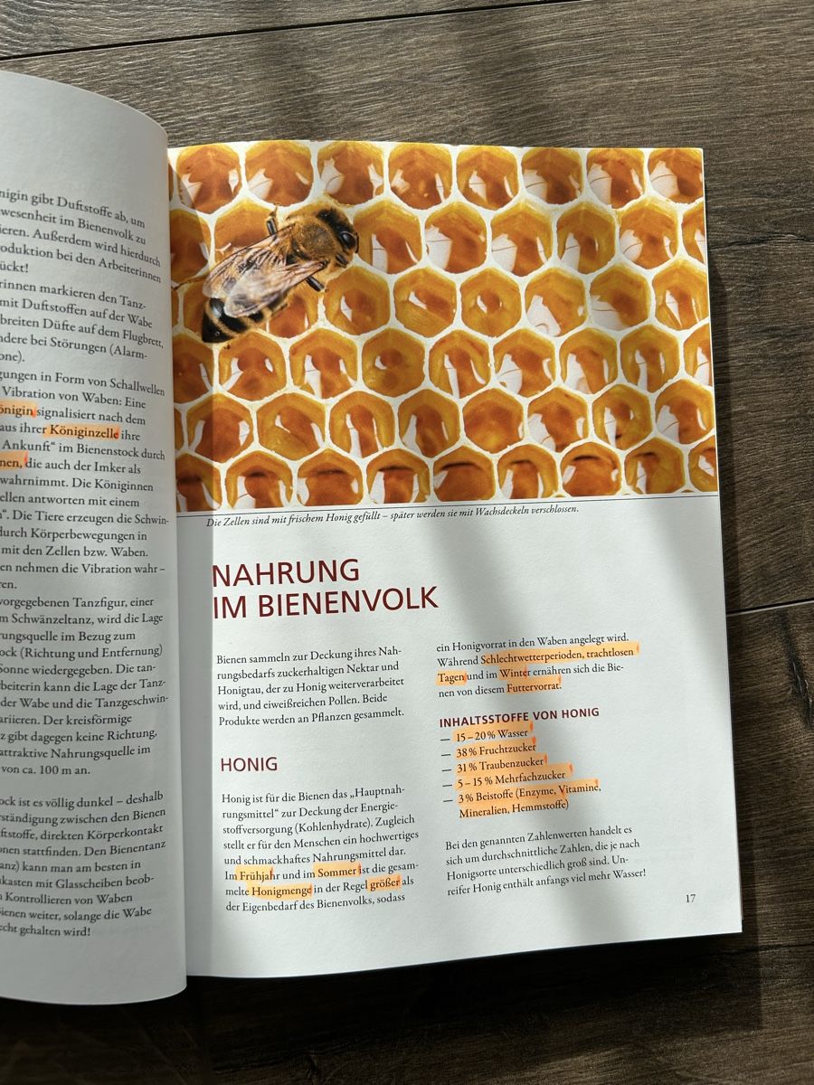 Libri: Praxisbuch "1x1 des Imkerns" – Nuovo (secondo la descrizione) da Amden venduto da Arven-Schmuck 2