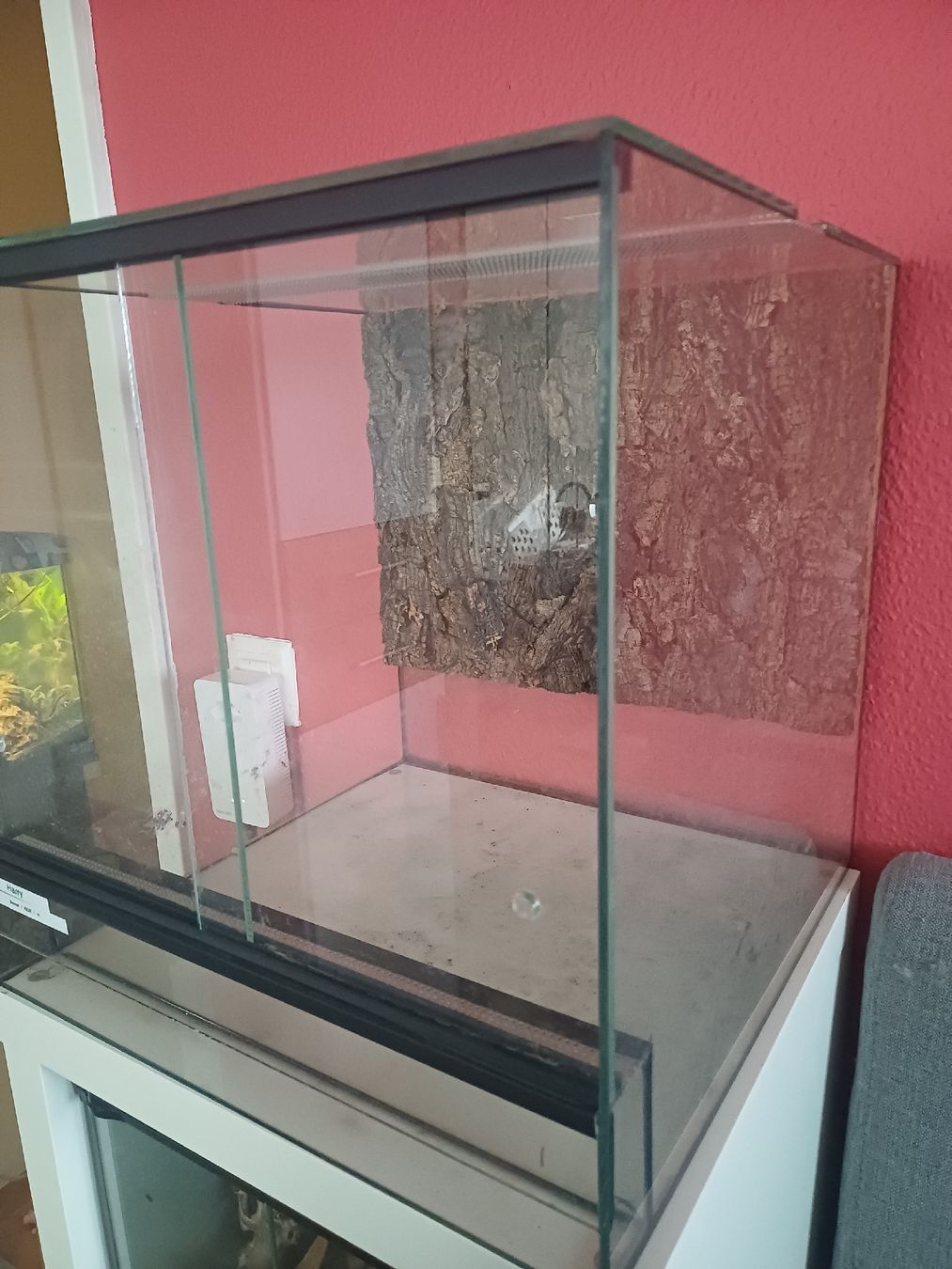 Terrario: Vollglas Terrarium  – Usato da Thalwil venduto da Skorp96 1