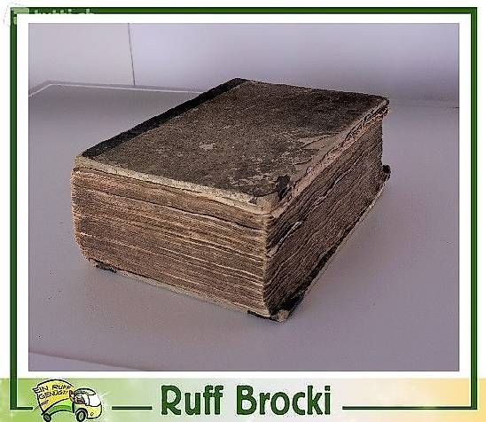 Livres: Antike Bibel von 1850 – D'occasion à Rheineck par han_c85z 1