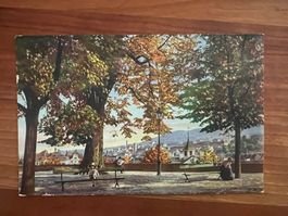 AK    1916 Zürich Lindenhof  (G3134)