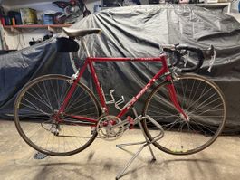 Basso Coral Rennvelo