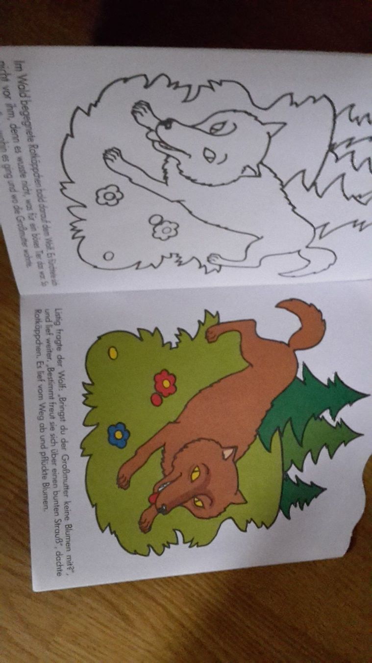 Livres: Vorlagenbuch Rotkäppchen – Neuf (Voir description) à Schwarzenburg par Flamingo07 1