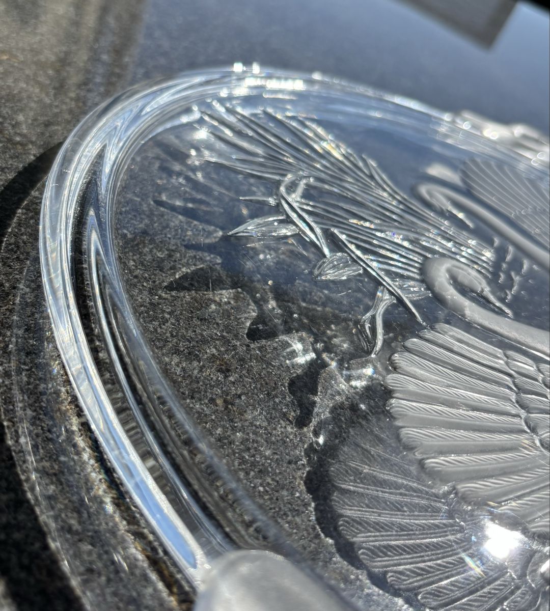 Servierplatten: Servierteller Glas mit Schwan – Gebraucht aus Gunzwil von mel_gd8m 1
