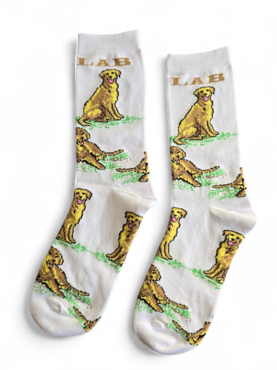 Calze: Socken Hunde/Dogs/Labrador – Nuovo e nell'imballaggio originale da Zürich venduto da amysmith 1