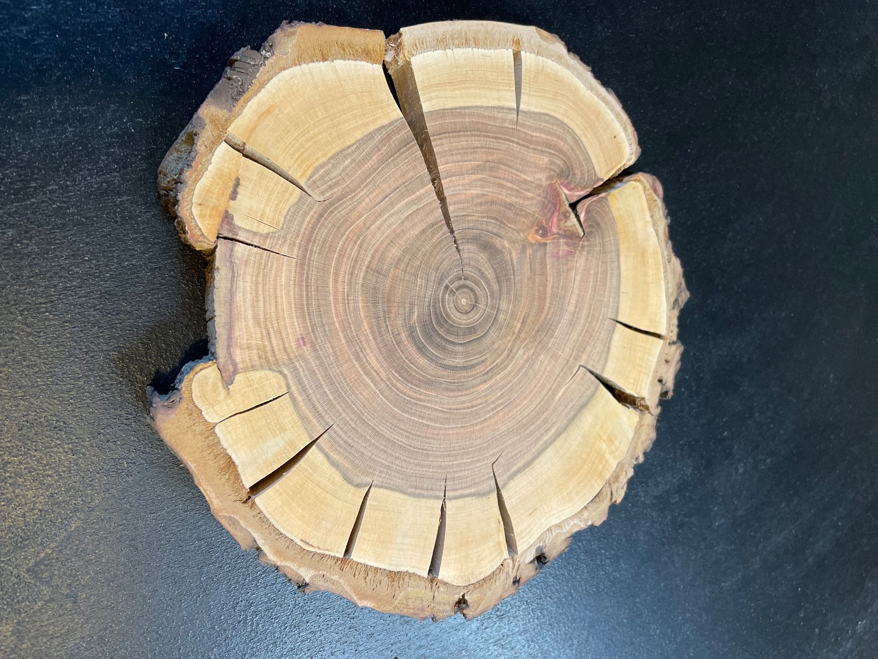 Holzartikel: Holzscheibe – Gebraucht aus Brunnen von Holz-style 1