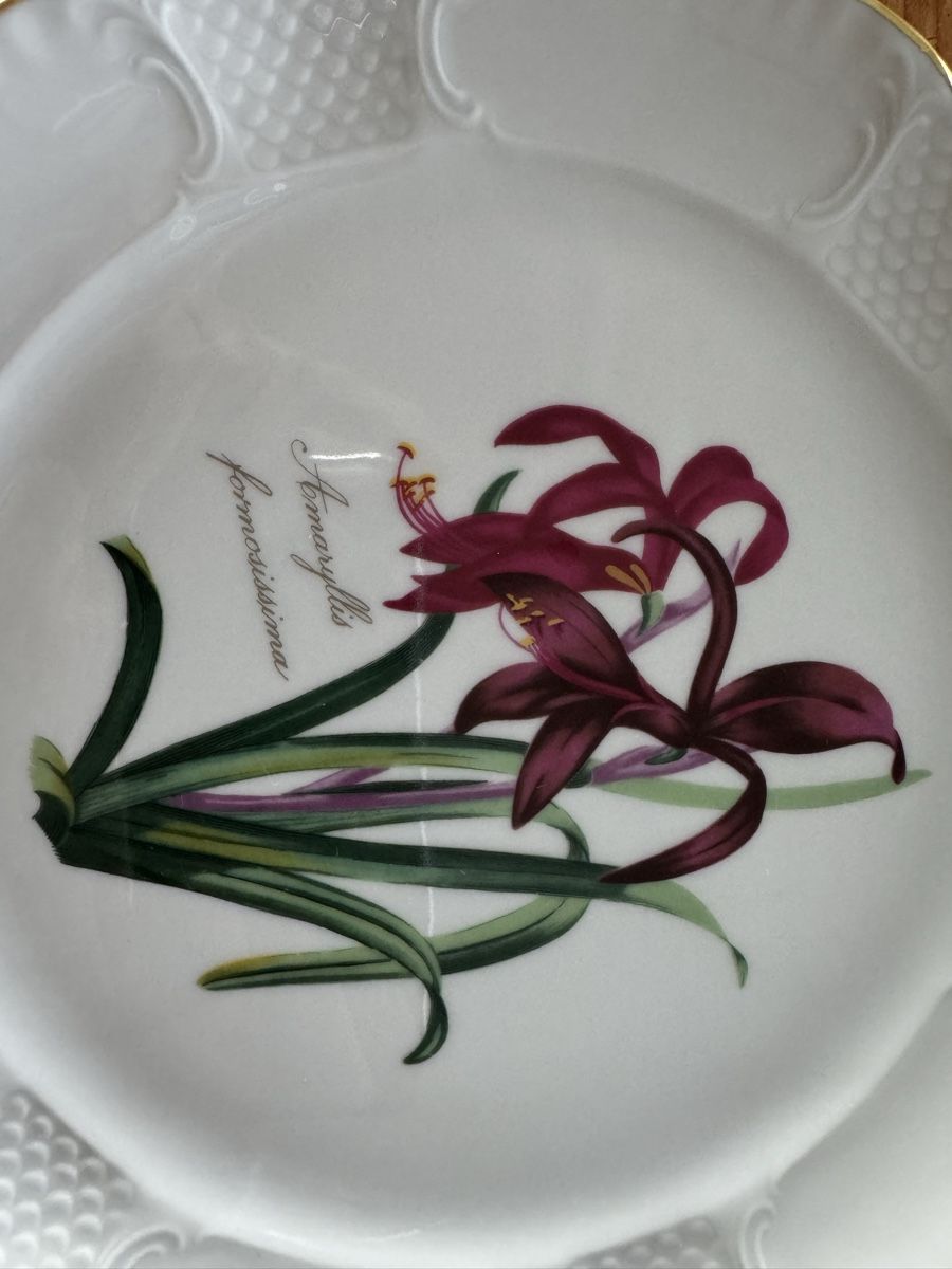 Teller: Sammelteller Amaryllis, Limitierte Auflage 1984 – Gebraucht aus Lanzenhäusern von Galaa 1