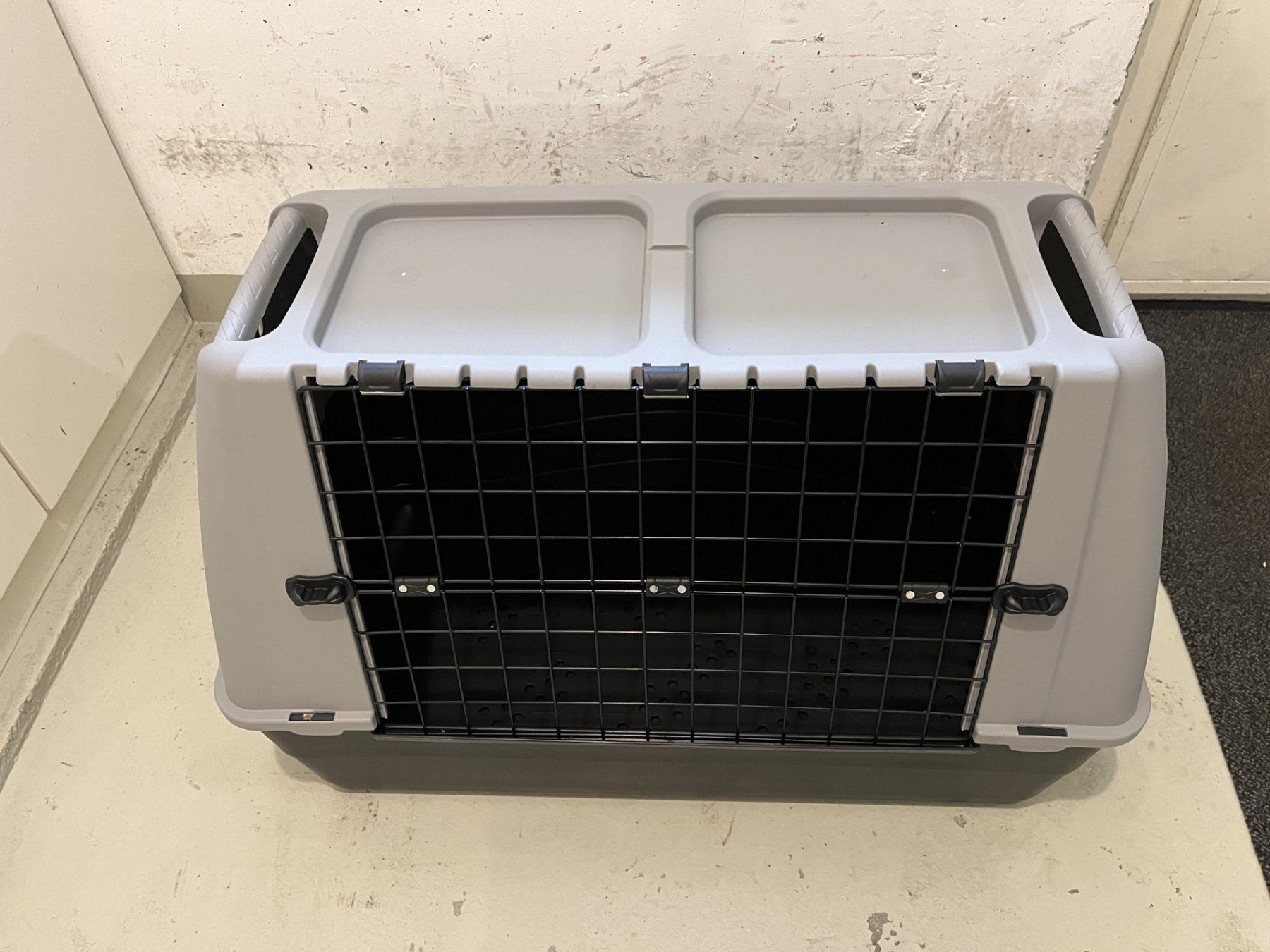 Käfige, Transport & Sicherheit: Transportbox für Hund oder Welpe – Gebraucht aus Wetzikon ZH von hitsch27