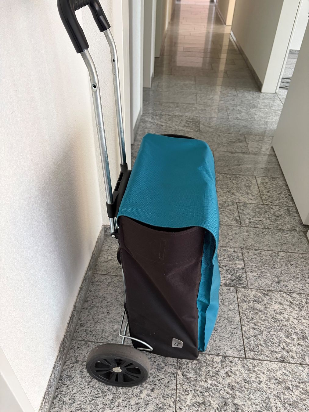 Sonstiges für Haushalt & Wohnen: Einkaufswagen gebraucht – Gebraucht aus Zürich von urueb54