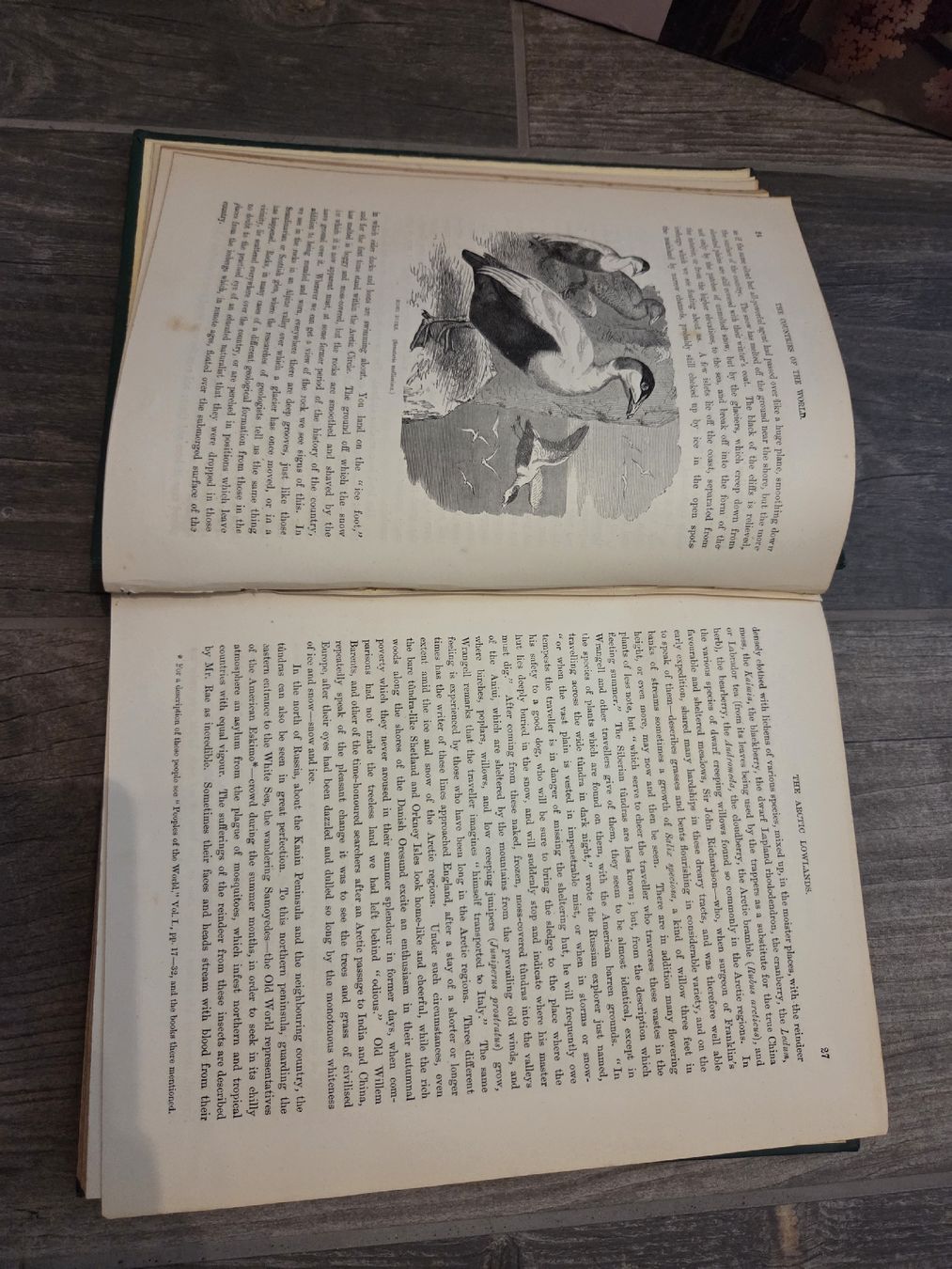 Libri: The Countries of the World – Usato da Bülach venduto da Ayanee 5