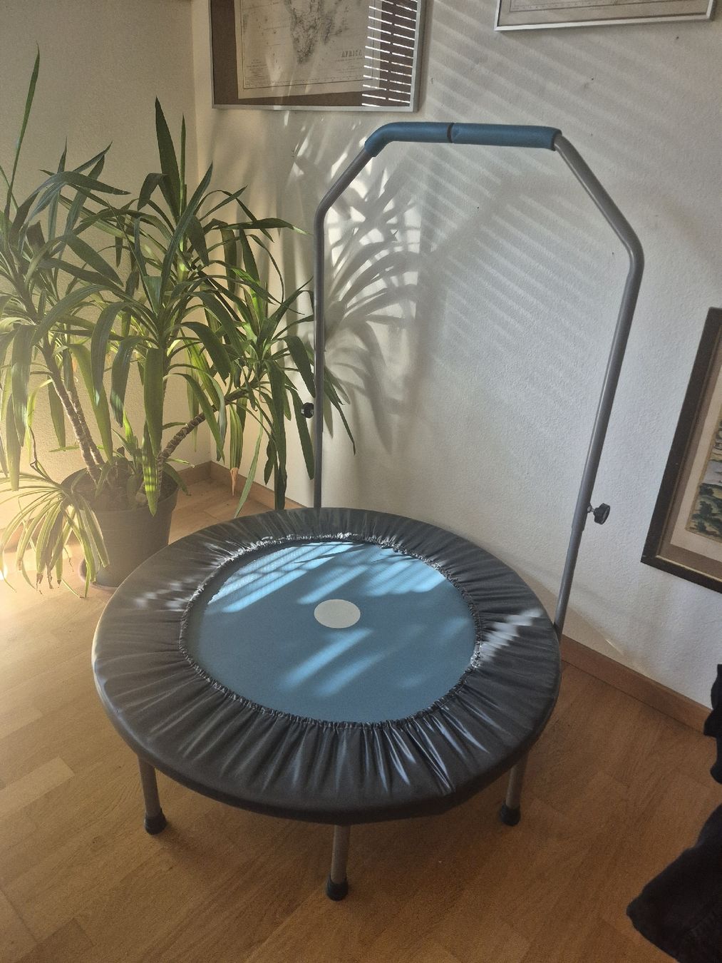 Trampoline: Trampoline fitness Tchibo  – Gebraucht aus Zürich von oscarc1
