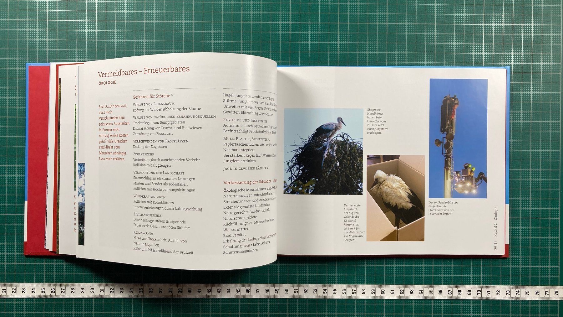 Libri: Maria Brun: STORCH, Schul- und Klosterbezirk Baldegg – Usato da Lenzburg venduto da fh1 4