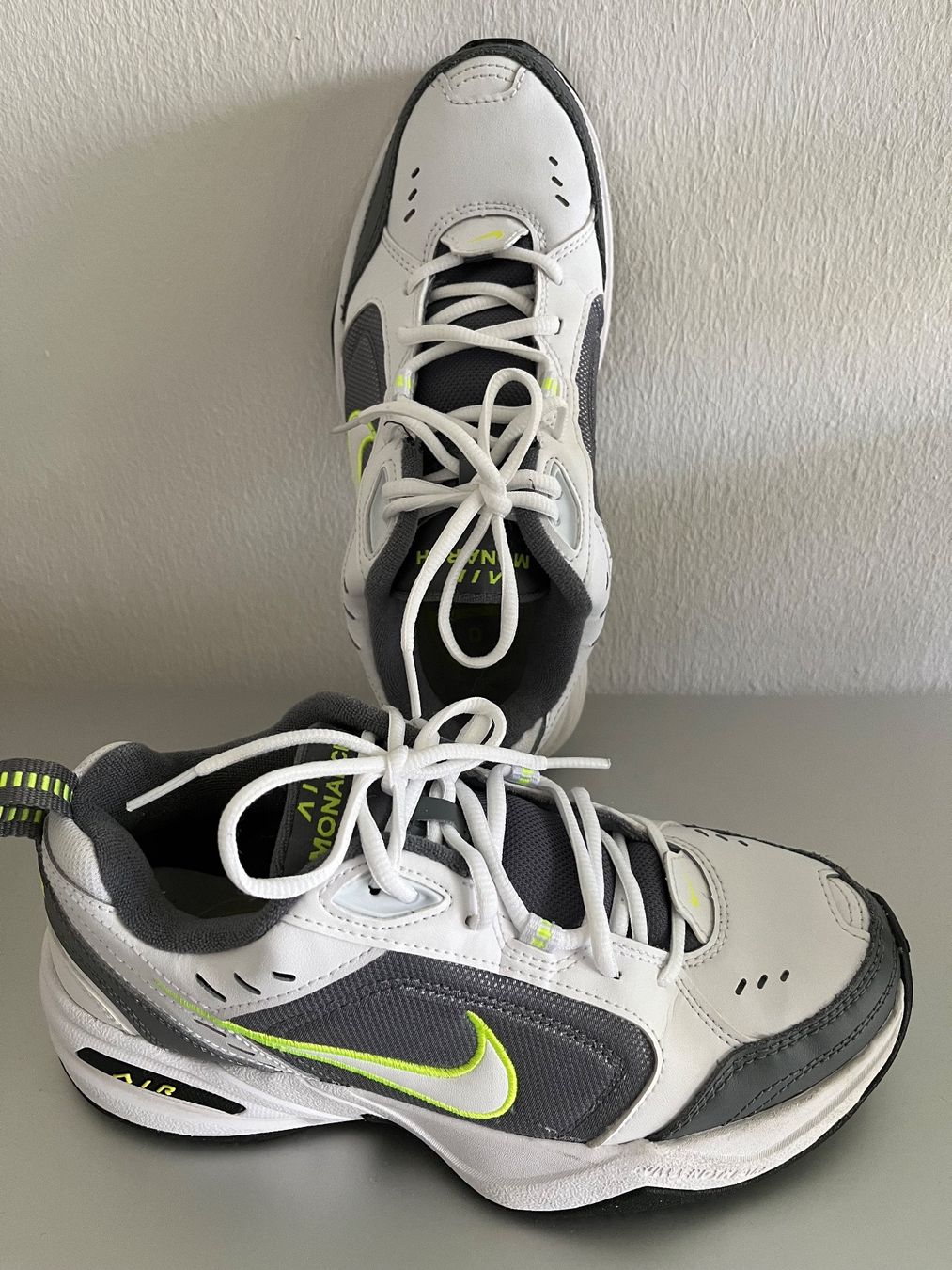 Nike Herrenschuhe: Nike Air Monarch – Gebraucht aus St. Gallen von Nickat