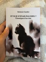 Livre ET SI JE N ETAIS PAS DIEU CHRONIQUES D UN CHAT