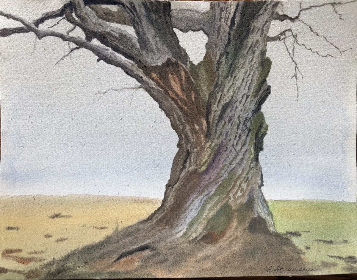 Gemälde: Die alte Eiche. Aquarell 2026. – Neu (gemäss Beschreibung) aus Meggen von My_art_for_you 5