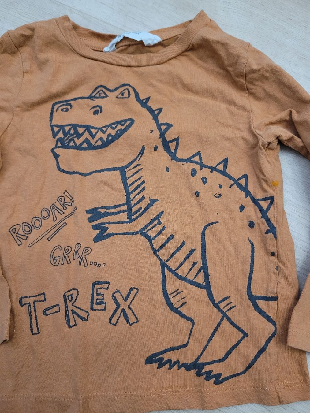 Maglioni & Felpe: Pullover Gr. 98/104 t-rex – Usato da Lupsingen venduto da sta_wgg5 1