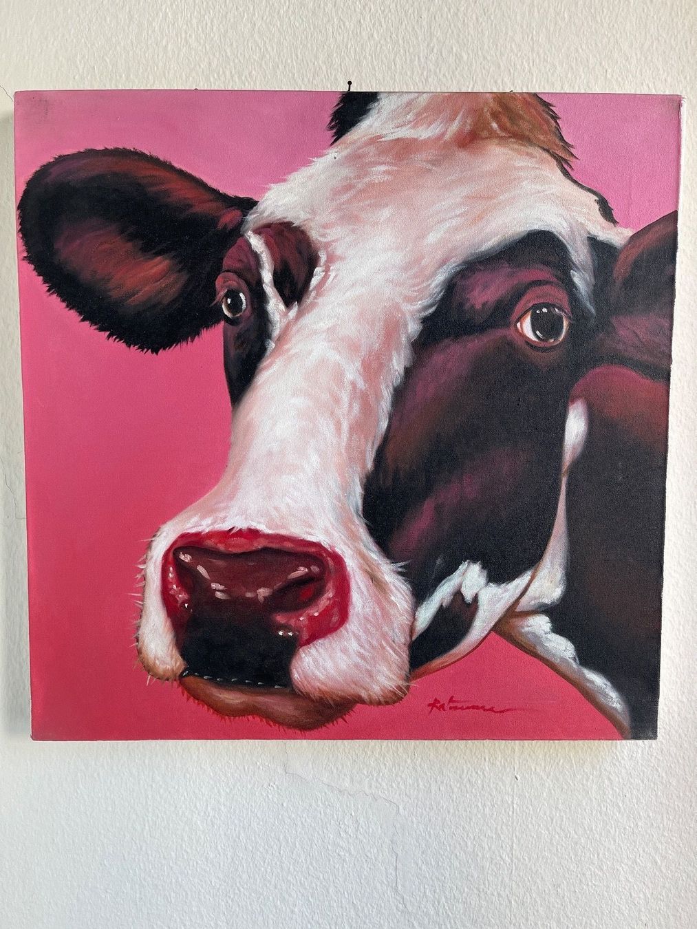 Dipinti: Kuhbild Acryl auf Leinwand 60x60cm – Usato da Zürich venduto da d.reitzer