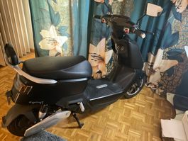 Elektroroller Black neu,   nur 400 km Modell 2023