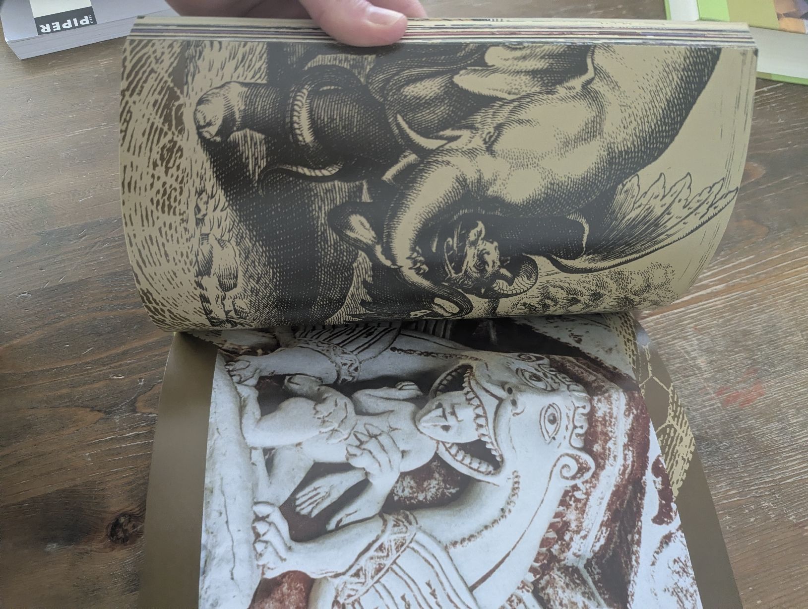Libri: Monster: Dämonen, Drachen & Vampire - Christopher Dell – Usato da Erlinsbach SO venduto da Meytalien 5