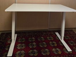 Ikea Trotten Höhenverstellbarer Schreibtisch, Weiss 120x70