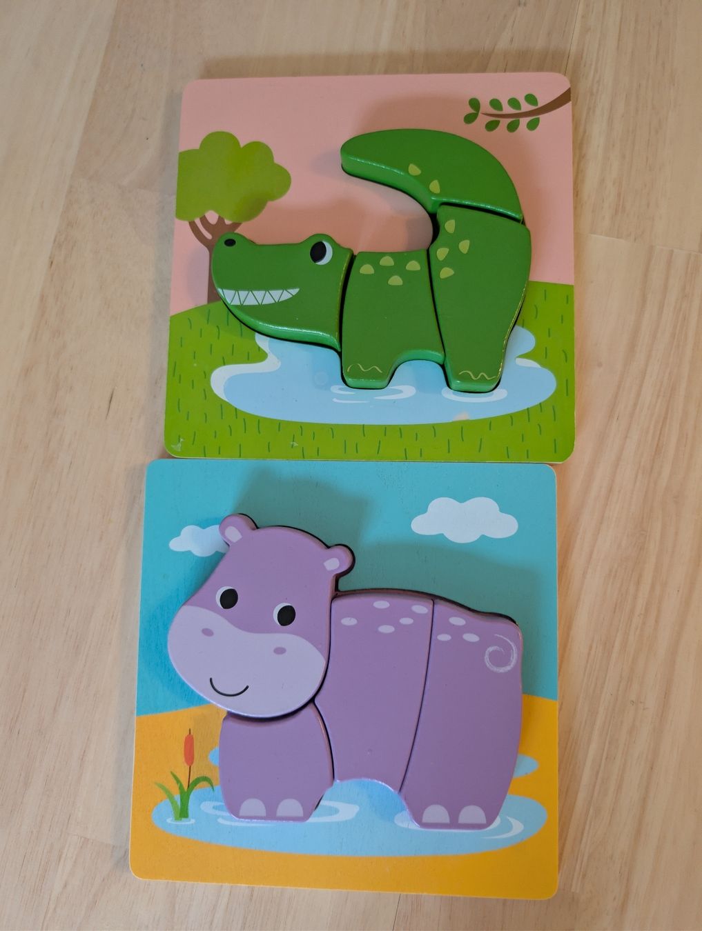 Puzzle: Puzzle – Usato da Basel venduto da Casamo 1
