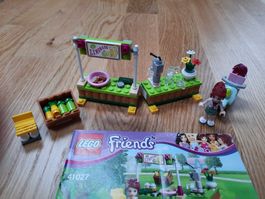 Set Lego Friends 41027 + 41010