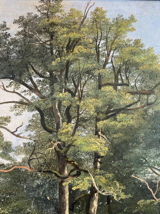 François Diday Highlight Swiss Art Kaufen auf Ricardo