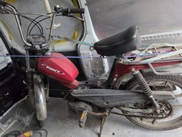 Pony GTX