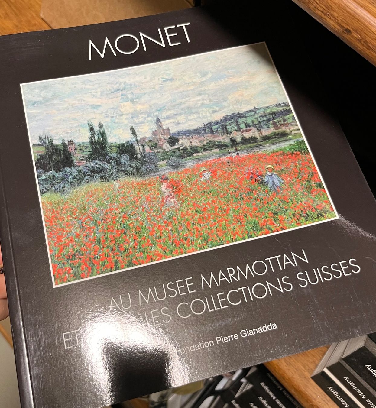 Libri: Fondation Pierre Gianadda – Usato da Freienbach venduto da alile 5