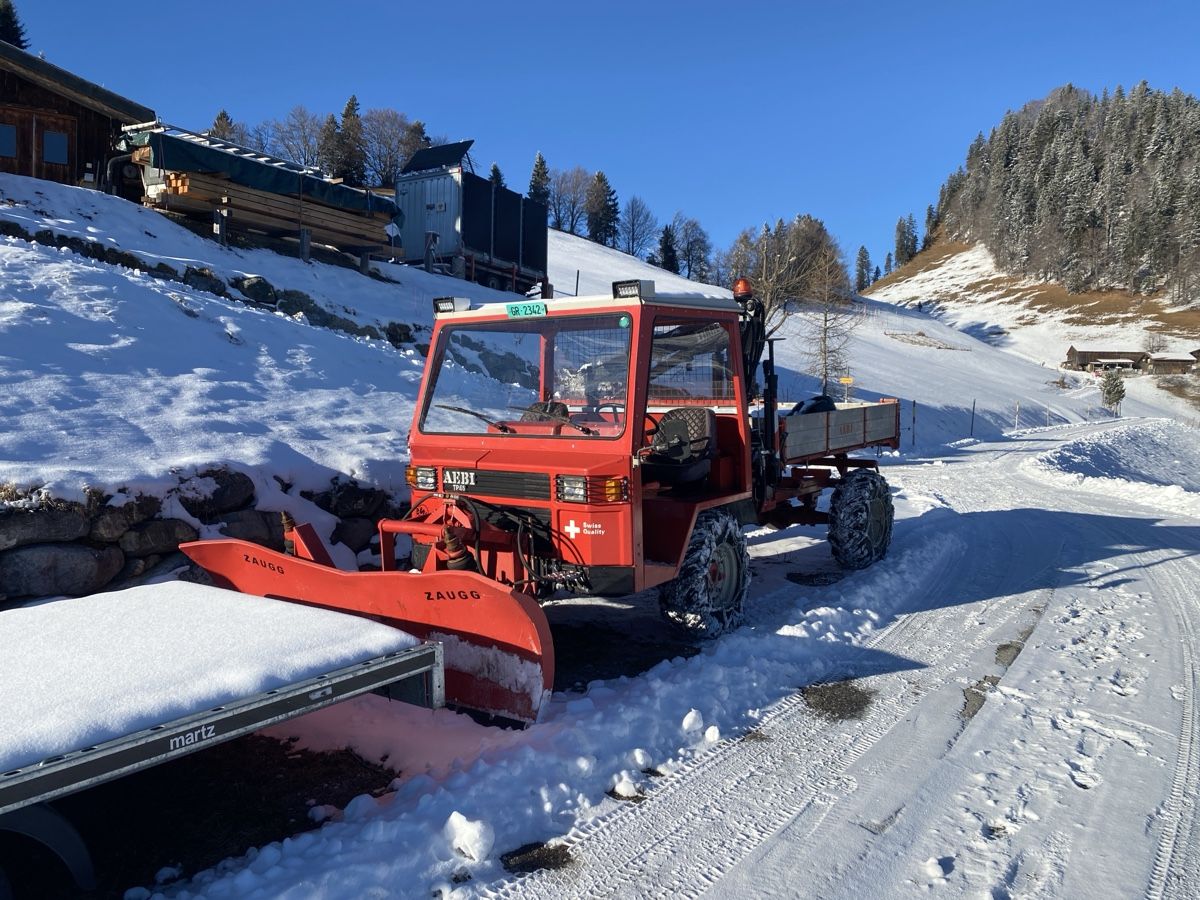 Trattori: Aebi Transporter – Usato da Valzeina venduto da Wannenspitz 6