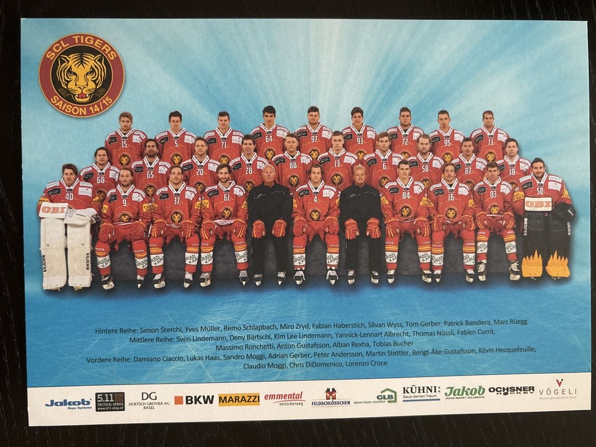 Autografi: SCL Tigers Mannschaftsfoto Saison 14/15 Eishockey – Usato da Uetendorf venduto da hoisle