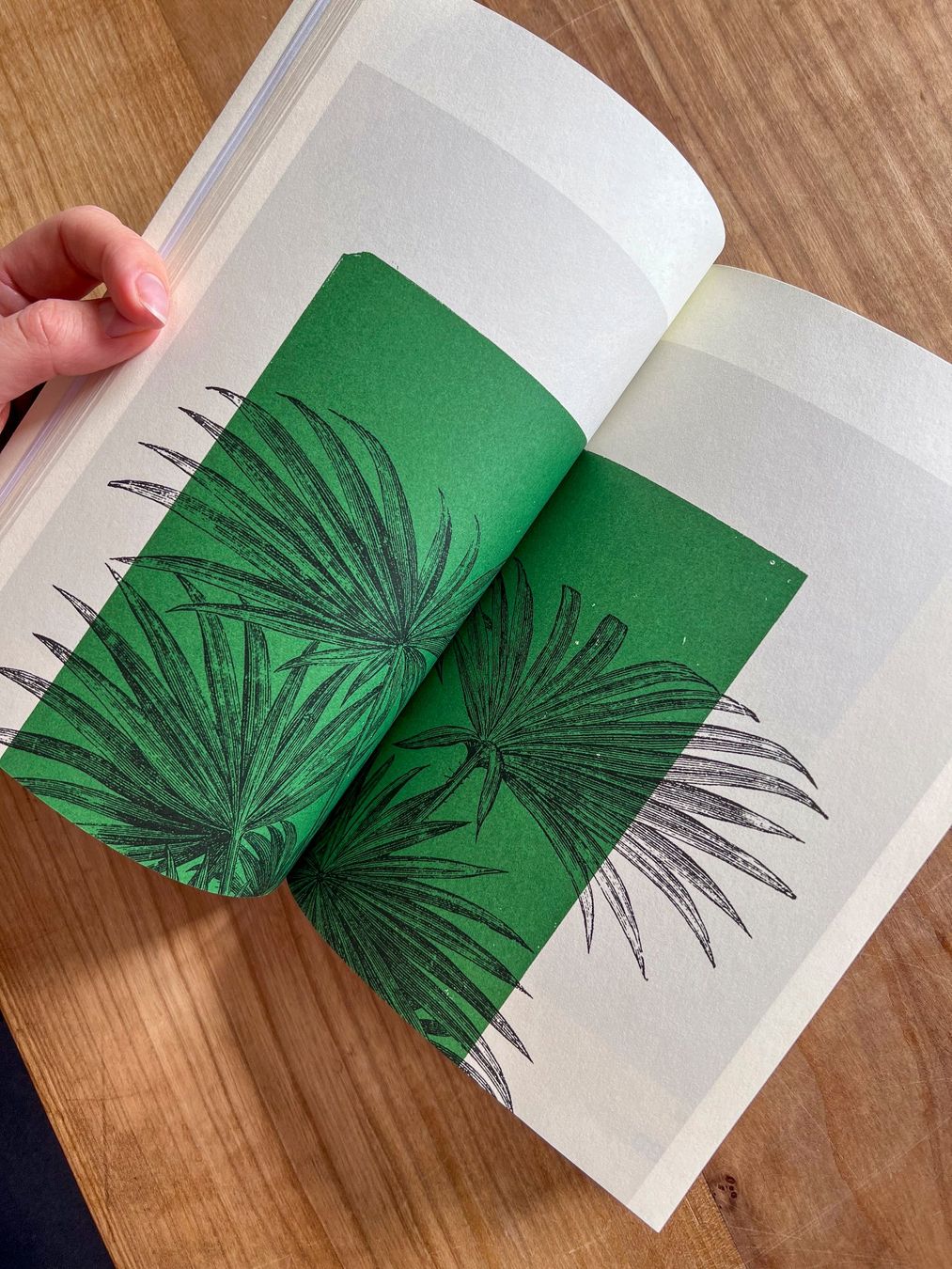 Libri: "Leafy House Plants" Buch, Udo Dammer – Usato da Winterthur venduto da Ael_ 2