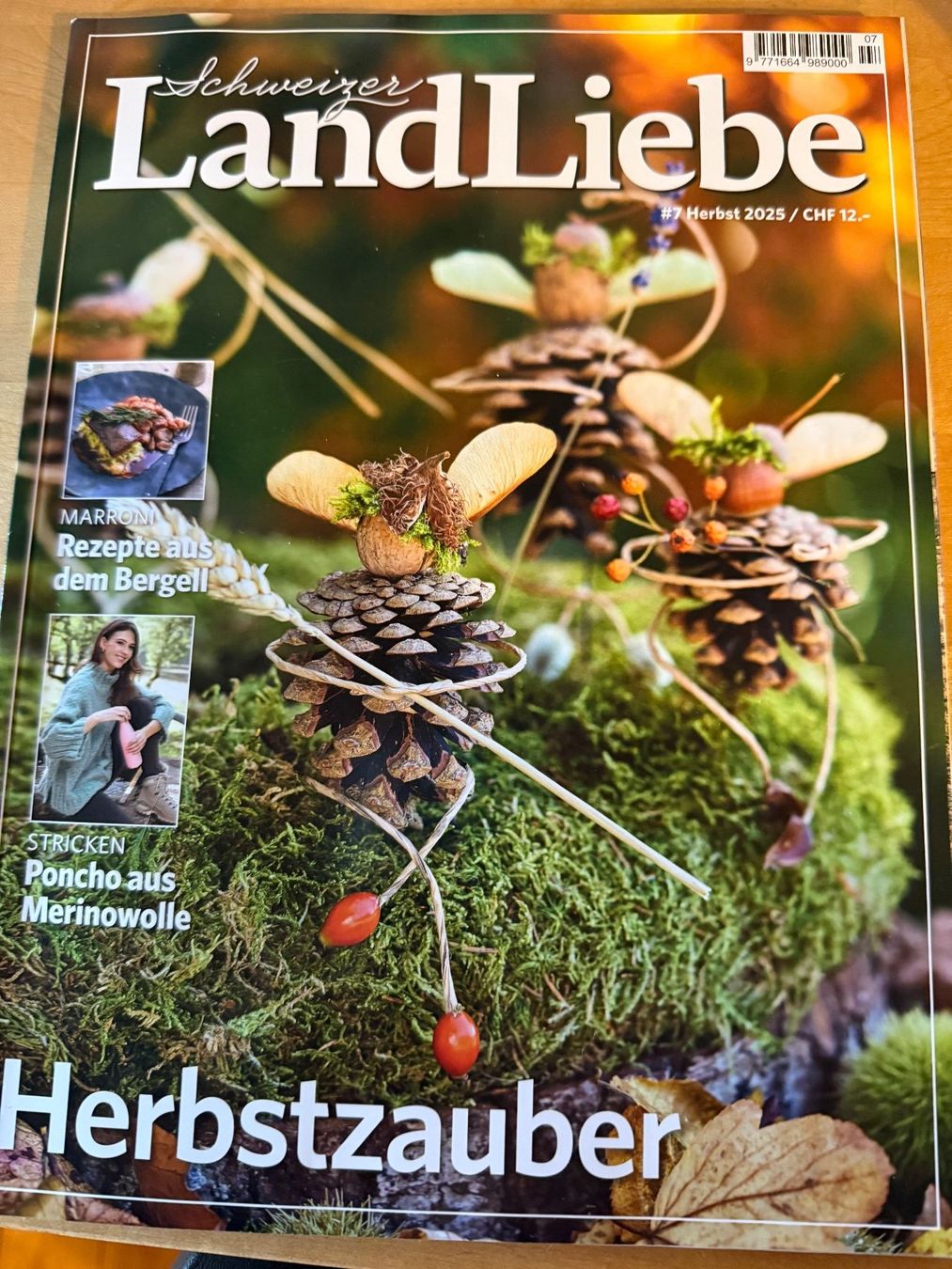 Riviste & Magazine: Schweizer Landliebe Nr 7 Herbst 2025 – Usato da Zürich venduto da ch3906