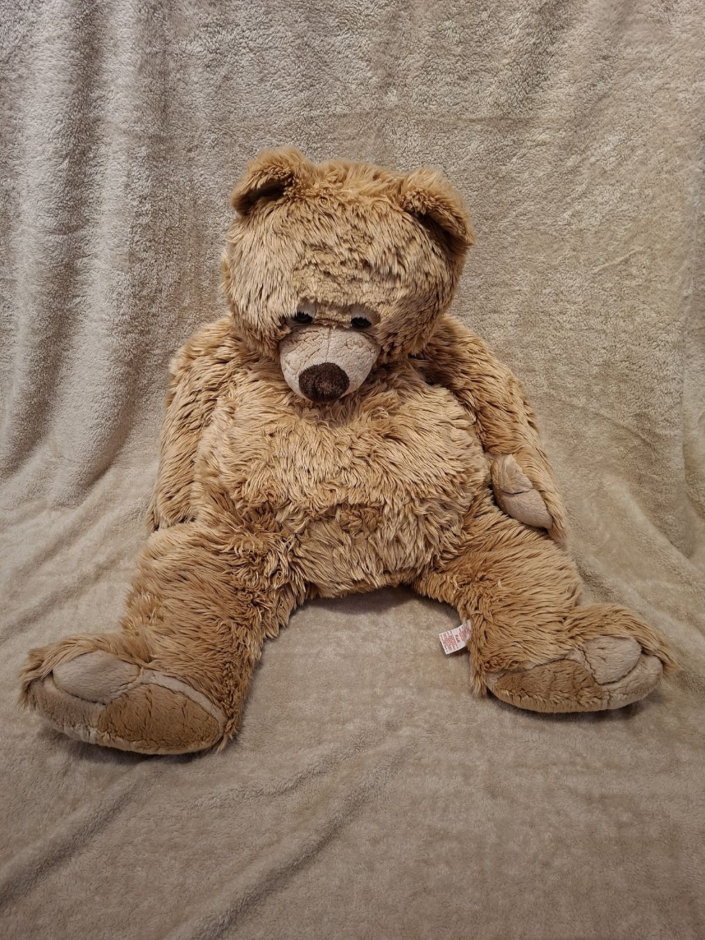 Spielzeuge: Plüschtiere; Teddybär & Eisbär – Gebraucht aus Thörigen von leo_55vw 2