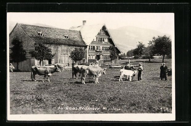 Cartoline postali: Nesslau, Pension Hedinger mit Kuhherde – Usato da Berlin venduto da bartko-reher