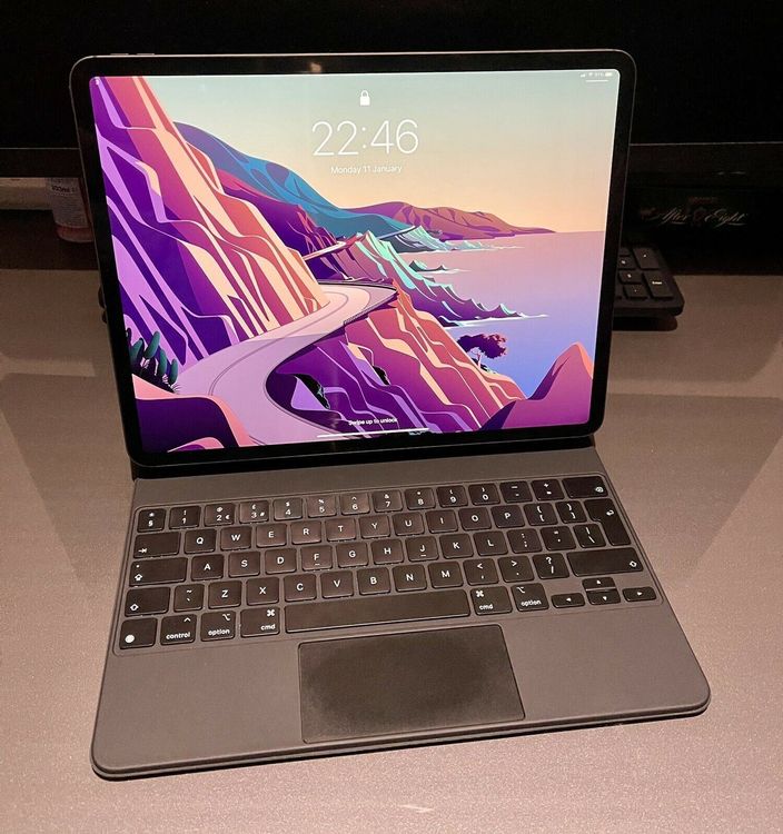 Apple iPad Pro 4th Gen 2020. | Kaufen auf Ricardo