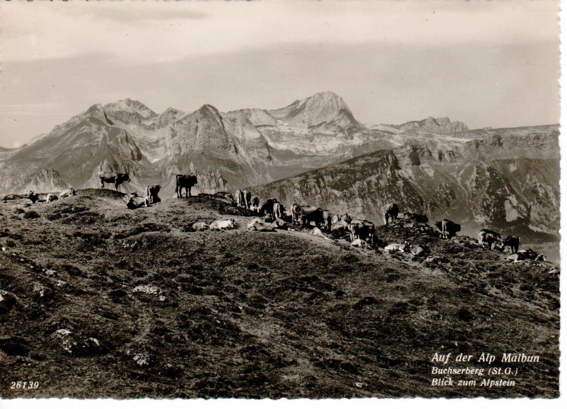 Cartoline postali: auf der Alp Malbun - Buchserberg – Usato da Wolhusen venduto da Curver9