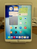 iPad Air 3 Generation  256 GB
