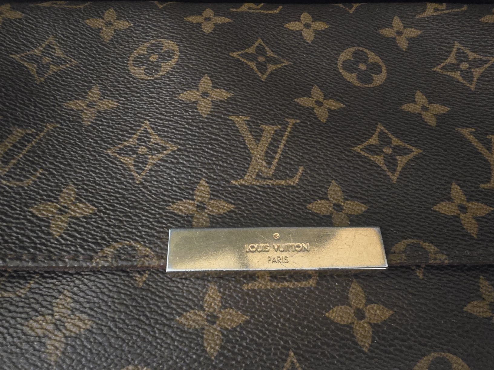 Louis Vuitton Borse da donna: Louis Vuitton Favorite MM Monogram Canvas – Usato da Gattikon venduto da lavric_d 5