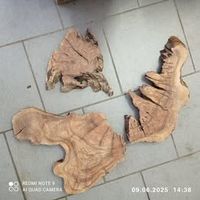 Oliven Holz