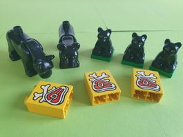 Duplo (Y34) Set Pumas
