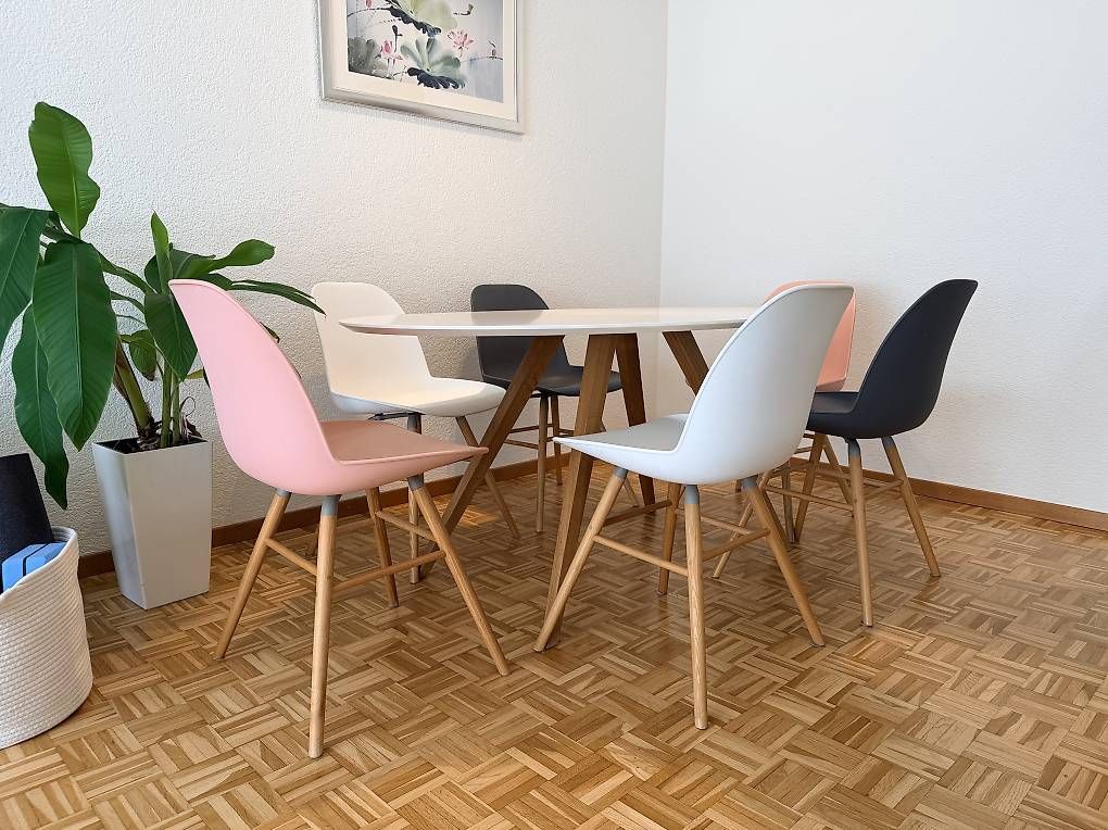 Micasa Set di tavolo e panche: Ovaler Esstisch und Esszimmerstühle – Usato da Thalwil venduto da gbrowarnik